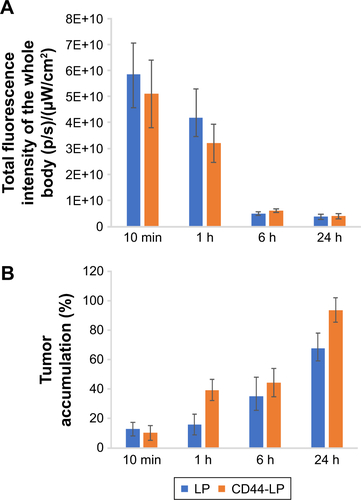 Figure S3 Semiquantitative analysis of fluorescence intensity of the whole bodies (A) and the fluorescence distribution percentage in tumors (B).Abbreviation: LP, liposomes.