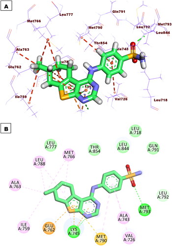 Figure 11. Binding of compound 5f with EGFRT790M, forming two HBs with Met793 and Lys745, nine HIs with Met766, Leu788, Ile759, Val726, Met790, Ala763, and Ala743, and three electrostatic attractions with Met790, Lys745, and Glu762.