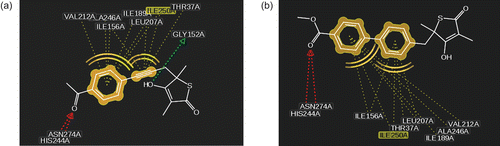 Figure 7.  2D depiction of the proposed binding mode of TLM analogs and mtFabH with hydrogen bond donors (green vectors), hydrogen bond acceptors (red vectors), and hydrophobic areas (yellow spheres): (a) compound 3 and (b) compound 39.