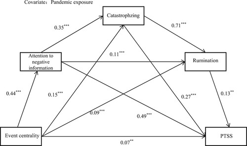 Figure 2. Mediating roles of attention to negative information, catastrophizing, and rumination in the relationship between event centrality and PTSS.