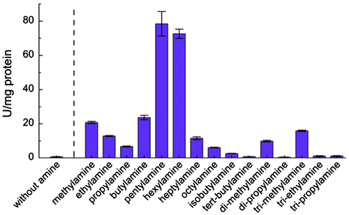 Fig. 1. Effects of various amines on the activity of PpADH. The final concentration of each amine used in the reaction mixture was 10 mM.