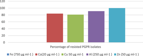 Figure 7. Heavy metal resistance of PGPR isolates.