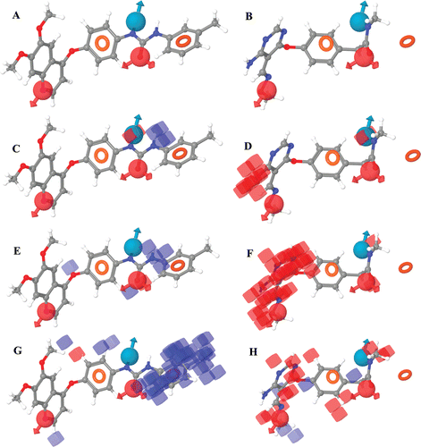 Figure 2.  Visualization of 3D contours generated using CPH1 for the most active and inactive compounds (51 and 75). The subsets A and B depict the mapping of CPH1 onto the compounds 51 and 75, respectively. Subsets C-H depict the favorable (blue) and unfavorable (red) regions derived from the atom based 3D QSAR model for the H-bond donor (C, D), electron withdrawing (E, F) and hydrophobic properties (G, H) respectively.