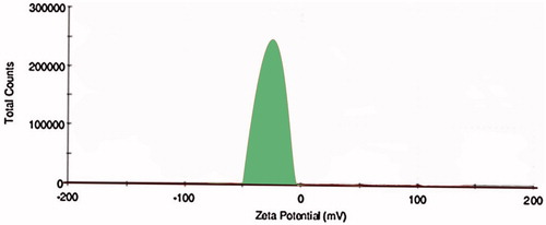 Figure 12. Zeta potential of TR-OP-SLN3 by Malvern Zetasizer.