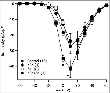Figure 8. Effect of accessory subunit expression on total calcium current density in SCG neurons. Current-voltage relationship (I-V curves) for control SCG neurons (•), and those expressing β4 alone (□), α2δ-1 alone (♦□), or both subunits together (□). Number of cells in each group is indicated in parentheses in the inset. * indicates p < 0.05, vs. control uninjected cells.