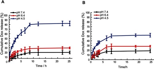 Figure 4 In vitro drug release behavior of MSN-BM/CD-HApt@DOX created via two MSN-BM synthetic pathways at neutral (PBS, pH 7.4) and acidic (PBS, pH 6.4 and 4.5) conditions at 37 °C. In Path I (A), the template was removed and then benzimidazole was modified. The BM existed both in porous channels and on the surface of MSN; in path II (B), benzimidazole was modified, then the template was removed. The BM only existed on the surface of MSN. The pH-dependent release rates of DOX from MSN-BM/CD-HApt@DOX produced by both pathways were quantified via fluorescence spectrophotometry. The nanoparticle concentration was 100 μg/mL, equivalent to 3.6 μg/mL DOX for Path I and 2.6 μg/mL DOX for Path II. Data are mean ± SD (n= 3).Abbreviations: MSN, mesoporous silica nanoparticles; BM, benzimidazole; CD, β-cyclodextrin; HApt, aptamer; DOX, doxorubicin.