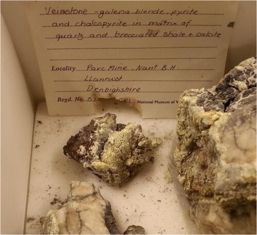 Figure 4. A veinstone specimen affected by pyrite decay. A section has spalled off the body; both feature characteristic yellow and white sulfate efflorescence. Also note the ‘scorching’ of the label, caused by sulfuric acid, which has defaced the accession number. Image courtesy National Museum Cardiff.