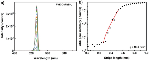 Figure 6. (Colour online) (a) ASE emission spectra from CsPbBr3 perovskite nanoparticle film. The excitation wavelength is 450 nm, 300 fs pulse with energy of 0.16 µj per pulse and the ASE light is collected from 1000 pulses at a repetition rate of 1 kHz. Different colour spectrum corresponds to different stripe lengths. (b) Optical gain parameter extraction from the exponential ASE peak intensity as a function of stripe length. The solid line corresponds to the small signal gain model fit in the log-lin scale and thus presents an exponential increase with increasing length. The scattered data points are ASE peak intensity measured at wavelength of 532 nm. Extracted optical gain parameter is 18 ± 2 mm−1.