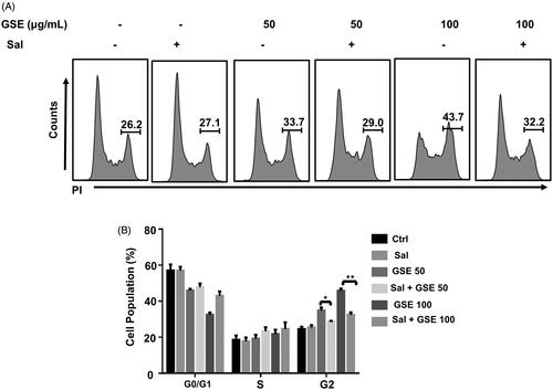 Figure 6. Salubrinal attenuates GSE-induced G2/M cell cycle arrest. (A) HepG2 cells were pre-treated with 25 mM salubrinal for 1 h and further treated with GSE for 24 h to examine cell cycle progression by flow cytometry. (B) Data are shown as mean values ± SEM (n = 3). Statistical analysis was carried out by a one-way analysis of variance (ANOVA) followed by Tukey’s pairwise comparisons and p < 0.05 was considered statistically significant. *p < 0.05 and **p < 0.01. Ctrl: control: Sal: salubrinal; GSE 50: GSE 50 μg/mL; GSE 100: GSE 100 μg/mL.