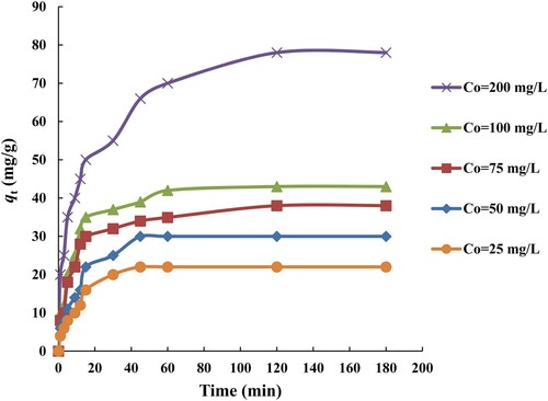 Figure 7. Influence of initial MB dye concentration and contact time on adsorption of MB by SATCS (V = 100 mL, T = 303 K, solution pH = 8, SATCS dosage = 0.1 g/100 mL).