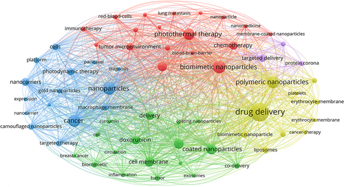 Figure 1 Network diagram illustrating keyword co-occurrences on biomimetic NPs, CM, nano-drug delivery, targeted therapy, tumor treatment.