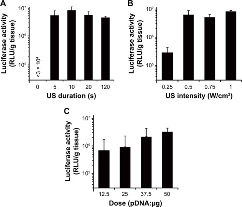 Figure 4 Optimization of transfection condition.Notes: Luciferase activities under different transfection conditions, ultrasound duration (A), ultrasound intensity (B), and dose of administered pDNA (C) were analyzed 6 h after transfection. Mice were intravenously administered with SCR-EGE bubble lipopolyplexes containing 6 mM NaCl, followed by ultrasound irradiation of the brain. (A) pDNA (50 μg) was administered, and ultrasound irradiation was applied at 1 W/cm2 at different durations. (B) pDNA (50 μg) was administered, and ultrasound irradiation was applied at various intensities for 10 s. (C) Various doses of pDNA were administered, and ultrasound irradiation was applied at 1 W/cm2 for 10 s (n = 3). Data are represented as mean ± SD.Abbreviations: EGE, echo gas encapsulation; pDNA, plasmid DNA; SCR, surface charge regulation; SCR-EGE, SCR-based EGE; SD, standard deviation.