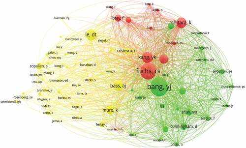 Figure 7. A visualization of co-cited authors related to immunotherapy for GC.