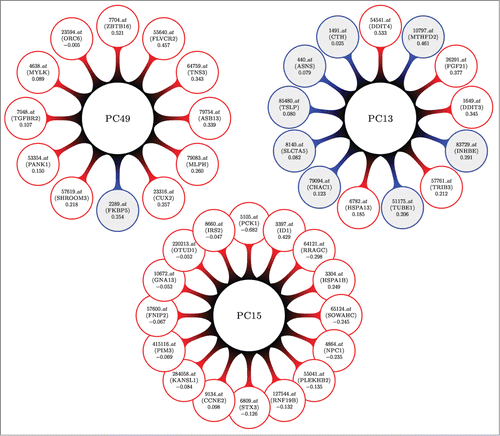 Figure 2. A visual display for the top 3 differentially expressed (most associated with DILI concern) sparse principal components (DEPCs) from our analysis of the human in vitro, high dose, 8 h gene expression sampling time subset. Larger central circles represent the principal components. Attached to each are the genes that form the linear combinations; probesets (gene names) and loading values are inside the outer circles. Shaded circles represent genes that were found to be independently associated with DILI concern (DEGs), whereas non-shaded circles contain genes that were not. PC15 might bring forth a network of trancriptomic material that is associated with DILI concern, not otherwise being found with more simple statistical tests. PC13 shows us that some marginally associated genes behave similarly.