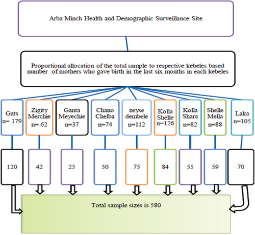 Figure 1. A schematic presentation of the sampling procedures.