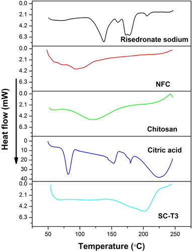 Figure 4. DSC thermogram of risedronate sodium, NFC, chitosan, citric acid and the selected aerogel scaffold SC-T3.