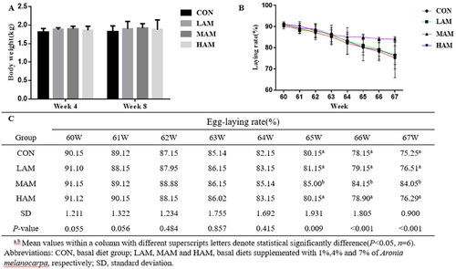 Figure 1. Effects of AM supplementation on body weight and laying rate of late laying hens. a,bDifferent superscripts have different means (p < 0.05). (A) The body weight (kg) of layers in each group after 4 and 8 wks of feeding (n = 6). (B, C) the egg laying rate (%) of all groups of 60–67 wk old laying hens (n = 6). Abbreviations: CON, LAM, MAM and HAM, basal diets supplemented with 0, 1, 4 and 7% of Aronia melanocarpa (AM), respectively.