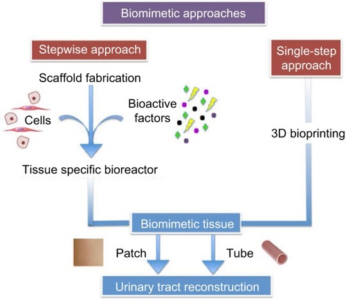 Figure 1 Approaches for biomaterial fabrication.