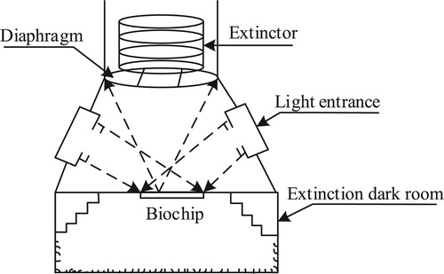 Figure 2. Schematic of optical path structure to eliminate stray light.