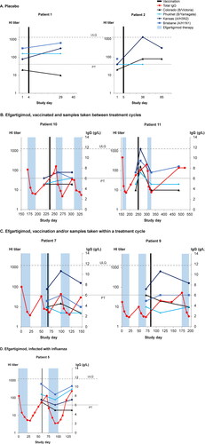 Figure 4. . Individual hemagglutination inhibition (HI) titers from 7 patients with generalized myasthenia gravis (gMG) vaccinated against influenza during the double-blind treatment period or open-label extension of ADAPT. (A) Patients who received only placebo. (B) Patients treated with efgartigimod and vaccinated between treatment cycles. (C) Patients treated with efgartigimod and vaccinated within a treatment cycle. (D) Efgartigimod-treated patient who was vaccinated but infected with influenza. PT, protection threshold; ULQ, upper limit of quantification. Solid black line indicates day of vaccination. Dotted black line indicates date of influenza infection.