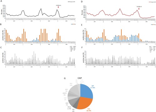 Figure 4. The reported numbers of patients with upper respiratory tract infection (URTI) or community-acquired pneumonia (CAP) presented to 35 sentinel hospitals in Beijing, China, from January 1, 2017, to December 31, 2020; the positive detection rates of each of 11 respiratory pathogens, including MP, by month. (A) The reported numbers of patients with URTI by month. (B) The positive rates of MP and influenza virus among patients with URTI by month. (C) The positive rates of nine respiratory viruses among patients with URTI by month. (D) The reported numbers of patients with CAP by month. (E) The positive rates of MP and CP among patients with CAP by month. (F) The positive rates of nine respiratory viruses among patients with CAP by month. (G) The pathogenic spectrum of CAPs in pneumonia epidemic season. The red arrow (panels A and D) denotes the time point of implementation of public health measures against the COVID-19 pandemic in Beijing. URTI, upper respiratory tract infection; CAP, community-acquired pneumonia.