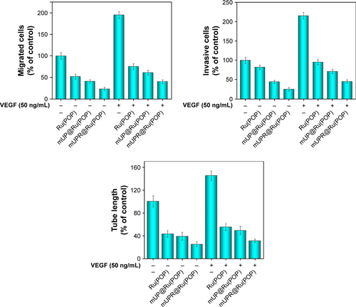 Figure S3 The relative reduction in the migrated cell numbers, invaded cell numbers, and capillary tube length suggested remarkable anti-metastasis effect of Ru(POP), mUP@Ru(POP), and mUPR@Ru(POP).Note: The quantitative data were analyzed by manual counting (% of control).Abbreviations: mPEG, methoxy polyethylene glycol; mUP, mPEG-UL polysaccharide-NIPAM; mUPR, mPEG-UL polysaccharide-NIPAM-RGD; NIPAM, N-isopropyl acrylamide; RGD, Arg–Gly–Asp; Ru(POP), [Ru(phen)2p-MOPIP](PF6)2·2H2O; UL, Ulva lactuca; VEGF, vascular endothelial growth factor.