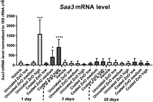 Figure 4. Saa3 mRNA levels in lung 1, 3 and 28 days of ZnO nanoparticle exposure. Uncoated (uncoated ZnO) or triethoxycaprylylsilane-coated ZnO nanoparticles (coated ZnO) were administered by intratracheal instillation at 0.2, 0.7 or 2 µg/mouse. Low, medium and high designates low-dose, medium-dose and high-dose, respectively. Carbon black at 162 µg/mouse served as positive control. One, three or twenty-eight days post-exposure lung tissue was recovered and Saa3 mRNA levels measured by quantitative real time PCR. Data are mean and bars represent SD. ****, ***, ** and * designates p-values of <0.0001, <0.001, <0.01 and <0.05 respectively vs. vehicle of one way ANOVA with Holm–Sidak’s multiple comparisons test.