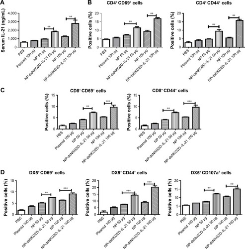 Figure 4 Activation of T and NK cells by the dsNKG2D–IL-21 nanoparticles in vivo.Notes: Serum IL-21 levels of the mice injected with the nanoparticles intramuscularly for 3 days were detected by ELISA (A). CD69, CD44, or CD107a expression level of splenic T or NK cells was detected by flow cytometry (B–D). Each experiment was performed three times. *P<0.05, **P<0.01, ***P<0.001.Abbreviations: ELISA, enzyme-linked immunosorbent assay; IL-21, interleukin 21; NK, natural killer; NP, nanoparticle; PBS, phosphate-buffered saline.