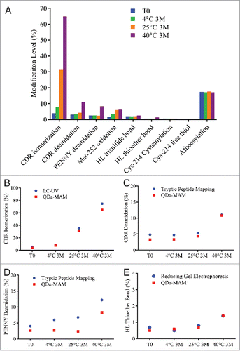 Figure 4. (A) Modification levels measured by QDa-based MAM in MAB1 stability samples at initial time point (blue), 3 months at 4°C (green), 3 months at 25°C (orange), and 3 months at 40°C (purple). (B) CDR isomerization quantified by LC-UV-based method (blue) and by QDa-MAM (red). (C) CDR deamidation quantified by tryptic peptide mapping (blue) and QDa-MAM (red). (D) PENNY peptide deamidation quantified by tryptic peptide mapping (blue) and QDa-MAM (red). (E) HL thioether bond quantified by reducing gel electrophoresis (blue) and QDa-MAM (red).