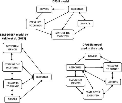 Figure 3. The original DPSIR model (Kelble et al. Citation2013, adapted from Figure 1, p. 2), EBM-DPSER model proposed by Kelble et al. (Citation2013, adapted from Figure 2, p. 5), and DPASER model introduced in this study. While the DPSIR model stresses the role of drivers and the EBM-DPSER model focuses on ES, DPASER integrates both factors. The latter model also recognizes the concrete human actions that cause changes in ecosystems.