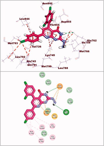 Figure 16. Binding of compound 9a with EGFRT790M.