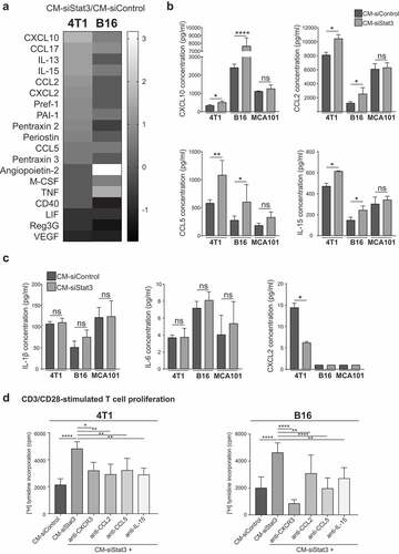 Figure 5. CCL2, CCL5, IL-15, and CXCL10 are mediators of the immune-stimulating activity of the SASP from Stat3-silenced cancer cells