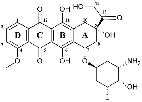 Figure 8. Chemical structures of doxorubicin.