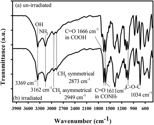 Figure 8. The FTIR charts of (a) un-irradiated and (b) irradiated face mask samples at dose of 25 kGy.