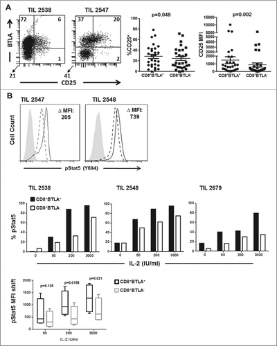 Figure 3. Enhanced IL-2 responsiveness by CD8+BTLA+ TIL. (A) TIL were stained for expression of CD8, BTLA, and CD25 and with the Aqua® live/dead viability dye. The left dot plot shows representative staining of TIL 2538 and 2547. The numbers indicated percent expression within the AQUA−CD8+ population. The right graphs summarize the percentage CD25 expression and CD25 mean fluorescence intensity (MFI) for the CD8+BTLA+ and CD8+BTLA− subsets (n = 23). P value was calculated using Wilcoxon signed-rank test. (B) TIL were sorted into CD8+BTLA+ and CD8+BTLA− subsets and cultured with increasing concentrations of IL-2 for 20 min. Cells were fixed, permeabilized, and stained for pStat5 (Y694). The left histograms show the level of pSTAT5 (Y694) expression after treatment with 200 IU/mL IL-2 for 20 min. The change in MFI (ΔMFI) between the subsets is shown. The top graphs show the change in percent pSTAT5 levels after incubation with increasing concentrations of IL-2 for 3 independent TIL lines. The shift in pSTAT5 MFI was determined by subtracting the baseline levels for each subset (n = 4). Statistical significance was determined using a paired Student t test.