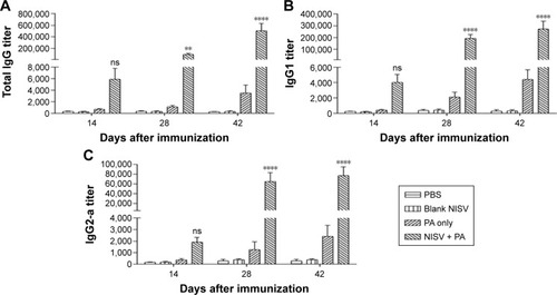 Figure 8 Anti-PA titers elicited by Swiss albino mice immunized intraperitoneally with PBS, blank NISV, PA, and NISV + PA.Notes: Subsequent booster doses were injected on the 14th and 28th day. Sera were collected from individual mice and analyzed in triplicates for PA-specific IgG antibodies and its isotypes by ELISA: (A) shows the IgG level elicited by the different groups at different time intervals; (B) shows the level of IgG1-specific antibodies, while (C) shows the levels of IgG2a-specific antibodies against PA. IgG and its isotypes were determined in the serum of immunized mice by ELISA using HRP-conjugated anti-mice IgG, IgG1, and IgG2a antibodies (1:10,000 dilution). For data preparation and statistical analysis, GraphPad Prism Version 6.05 software was used. The results were expressed as mean value with SD from individual mice group. PA immunized without particle group was compared with particulated groups for calculating P-value using the two-way ANOVA followed by Tukey’s multiple comparisons test. **P<0.01, ****P<0.0001, ns represents not significant.Abbreviations: ANOVA, analysis of variance; D4, PA Domain 4; ELISA, enzyme-linked immunosorbent assay; HRP, horseradish peroxidase; NISV, nonionic surfactant– based vesicles; PA, protective antigen.