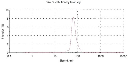 FIGURE A2 Droplet size distribution of vitamin E acetate nanoemulsion formulated.