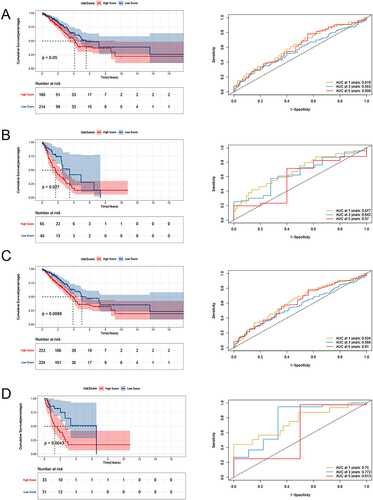 Figure 4 The impact of risk score on survival in different clinical groups. (A) The impact of risk score on survival in Stage 1–2; (B) The impact of risk score on survival in Stage 3–4; (C) The impact of risk score on survival in T 1–2; (D) The impact of risk score on survival in T 3–4.