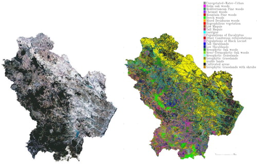 Figure 8. Landsat image (left) acquired on 13 August 2015 (RGB 321) and Vegetation Map (right).