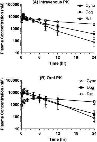 Figure 2. Plasma PK profile of BIC following a single-dose administration in rat, dog, and cynomolgus monkey (n = 3, mean ± S.D.). (A) Intravenous infusion (30 min) at a dose of 0.5 mg/kg; (B) oral solution administration at a dose of 0.5 mg/kg (rat) and 1 mg/kg (dog, monkey). Cyno: cynomolgus monkey.
