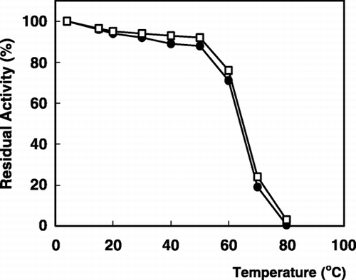 Figure 4. Thermal stability of α‐galactosidase: (•); free enzyme, (□); immobilized enzyme.