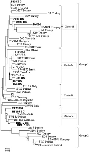 Figure 3. Phylogenetic tree based on amino acid sequences of the coat protein of PDV cherry isolates from Bulgaria and other isolates available in the GenBank database. The tree was produced using the NJ algorithm option of MEGA6 [17]. Bootstrap analysis of 500 replicates was performed. The scale bar shows the number of substitutions per amino acid. The analyzed isolates from Bulgaria are in boldface and noted with the abbreviation BG. Cluster numbering follows that in Figure 2.