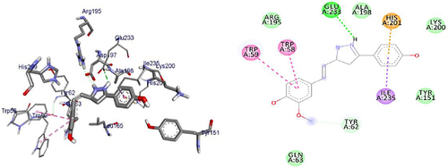 Figure 12 3D (right) and 2D (left) representations of the binding interactions of 8 against α-amylase enzyme (PDB ID: 4w93).