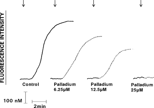 FIG. 5 Effect of exposure to various concentrations of Pd2 + (6.25–25 μ M) on the Ca2 + -mobilizing interactions of pneumolysin (added as denoted by the arrow ↓) with neutrophils are shown as the fura-2 fluorescence traces of a single representative experiment (3 in the series).