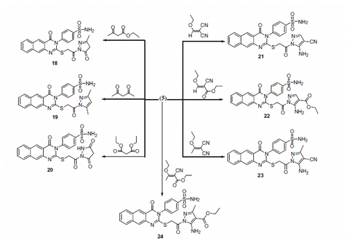 Scheme 3. Formation of benzoquinazoline-sulfonamide derivatives 18–24.