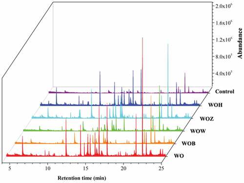 Figure 5. Total ion chromatograms of the volatiles formed with different oil samples with 12 days accelerated oxidation. Note: Control (walnut oil without antioxidant at 0 days), WOH (with HWE), WOZ (with ZWE), WOW (with WWE), WOB (with BHT), and WO (without antioxidant).