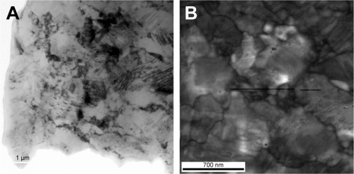 Figure 1 (A) BF-TEM image of the UFG Ti–6Al–7Nb. (B) VBF-TEM image obtained from the ASTAR system of a region of (A).Abbreviations: BF, bright field; TEM, transmission electron microscopy; UFG, ultrafine-grained; VBF, virtual bright field.