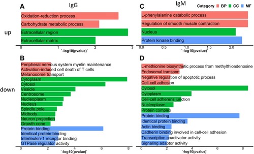 Figure 2 Gene ontology (GO) enrichment of differentially expressed antibodies (DEA) in COPD patients with acute exacerbation and non-COPD smokers. GO terms enriched in IgG autoantibodies with higher titers (A) and lower titers (B) in COPD patients than in non-COPD smokers. GO terms enriched in IgM autoantibodies with higher titers (C) and lower titers (D) in COPD patients than in non-COPD smokers. GO categories of biological process (BP), cellular component (CC) and molecular function (MF) are shown in red, green and blue bars, respectively. Names of the GO terms are indicated in corresponding bars, while raw p-values of the enrichment are indicated on X-axis.