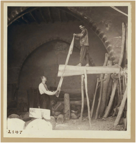 Figure 9. John D. Whiting, Hand-sawing of logs into planks, 1938. Library of Congress.