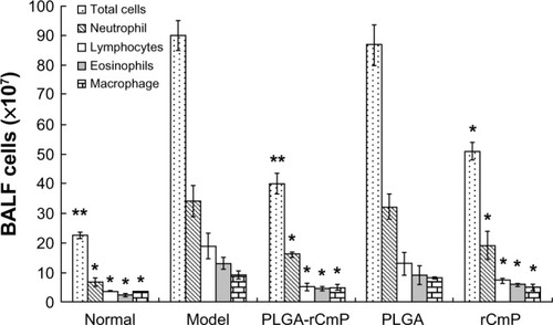 Figure 7 Differential counts of inflammatory cells in BALF.Notes: Normal, healthy control group; model, untreated asthma model group; PLGA-rCmP, rCmP-loaded PLGA nanoparticle group; PLG, blank PLGA nanoparticle control group; rCmP, rCmP/Al(OH)3 vaccine group. *P<0.05, **P<0.01 versus untreated asthma model control group.Abbreviations: BALF, bronchoalveolar lavage fluid; PLGA, poly(lactic-co-glycolic acid); rCmP, recombinant Caryota mitis profilin.